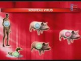 MedeSpaceTV - Virus A Porcine (H1N1)