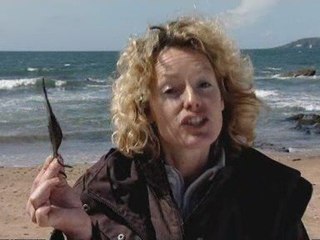 Chris packham replace Bill oddie