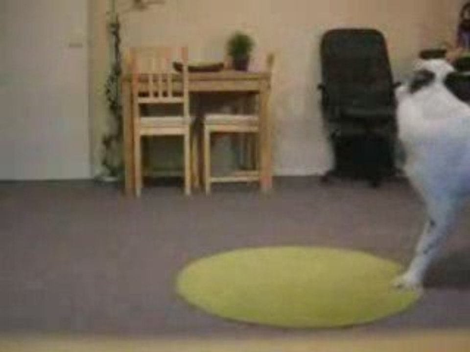 exercice cfs mai: cercle-twist