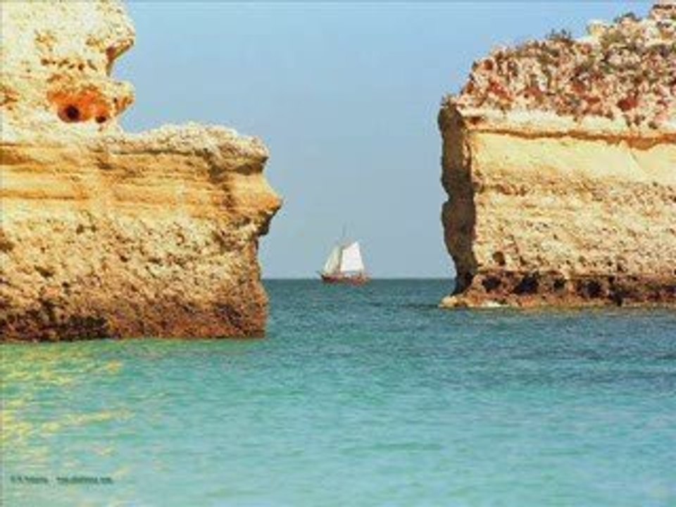 Sous le sunlight des tropiques (parodie)