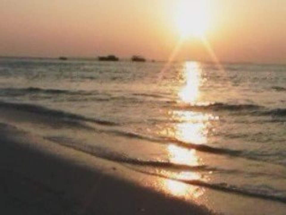 Astor Piazzola Hommage -Carrasco H -A DON ASTOR