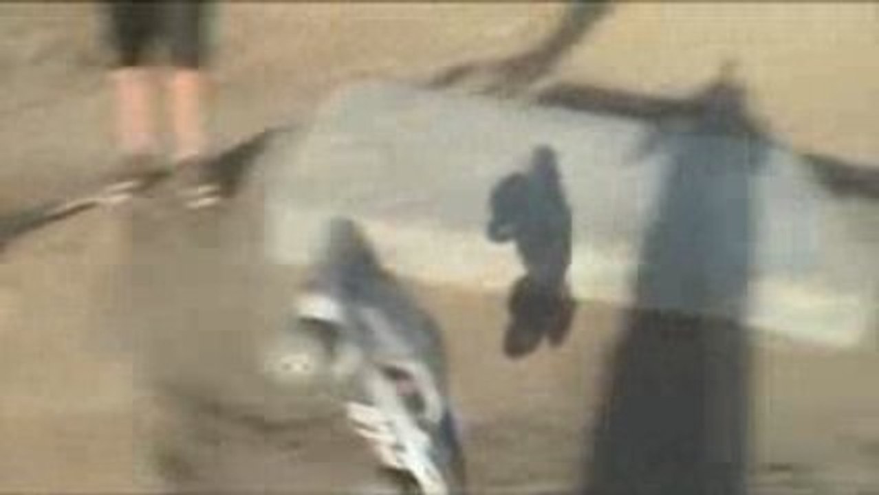 MONSTER TRUCK VS ENFANT