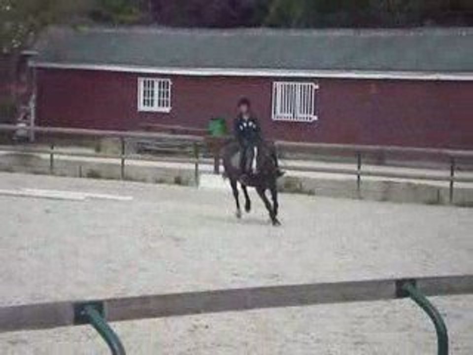 Saut d'obstacle galop 4 Gordon