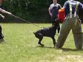 Carla de Rouge Sang à Dourdan