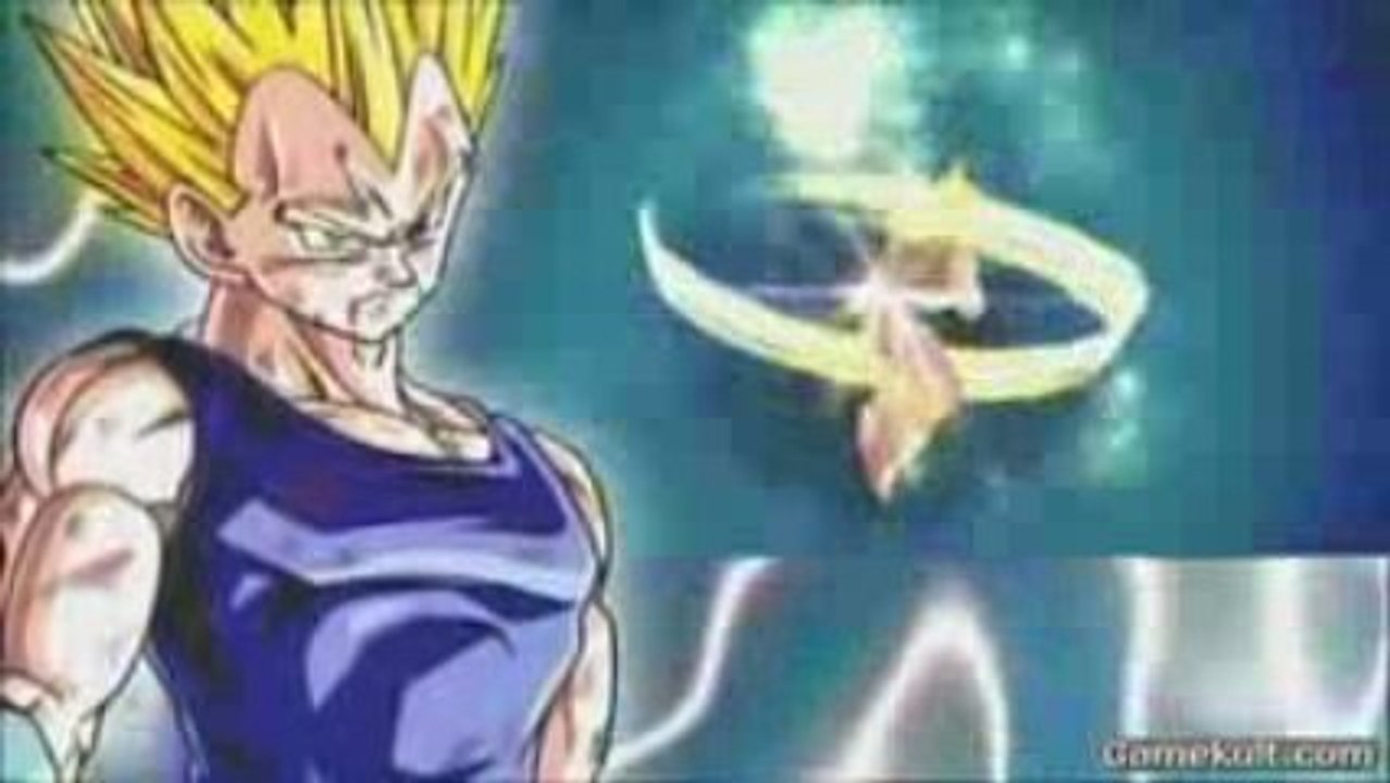 SHIN BUDOKAI 2
