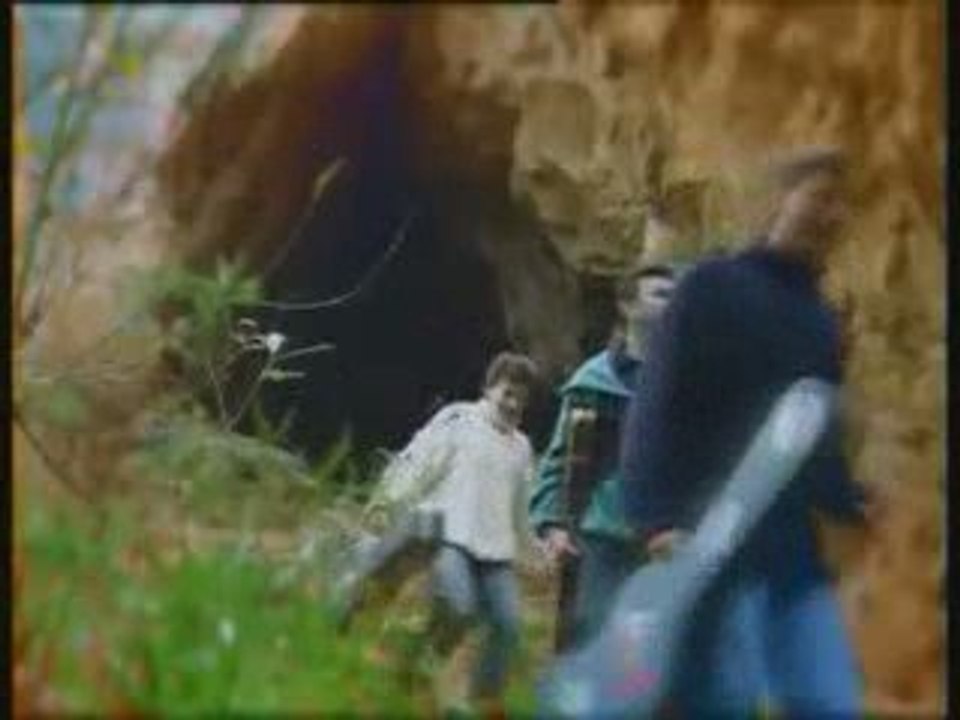 Bayer Full - Koniczynka