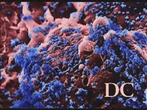 Virus vaccins Les mensonges des lobbies pharma 6