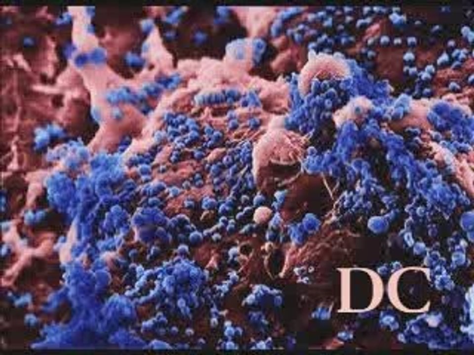 Virus vaccins Les mensonges des lobbies pharma 6