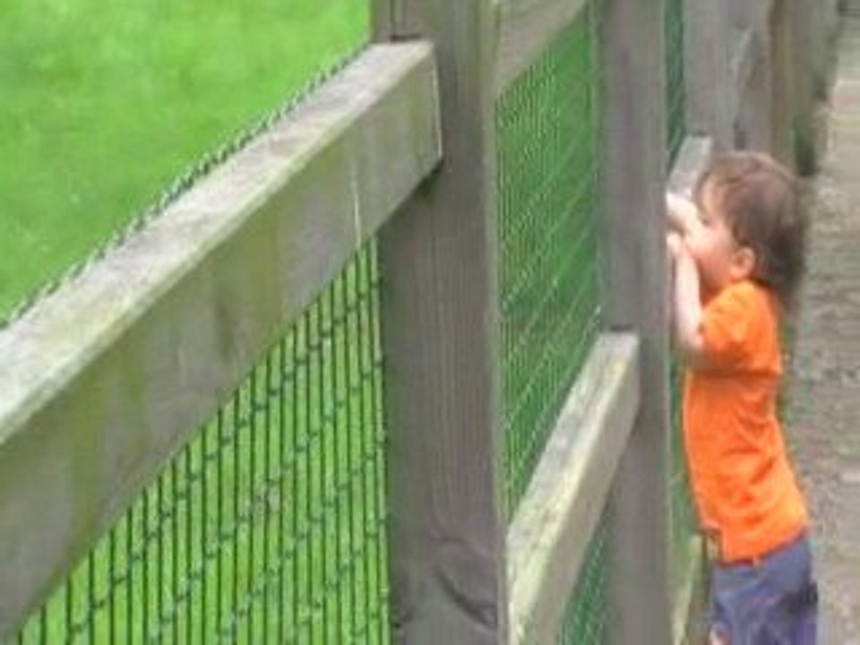 Au parc des Chanteraines