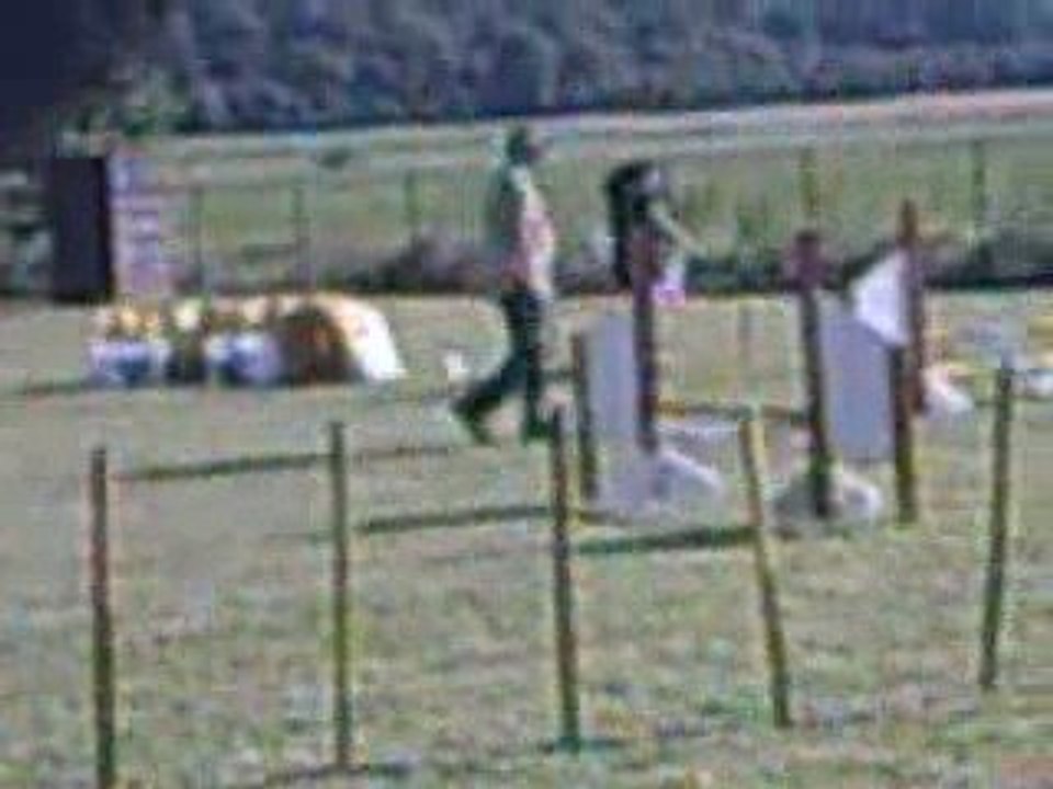 Celtic open