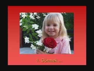 Dünyanın yedi harikasi ama bunlar biraz farklı