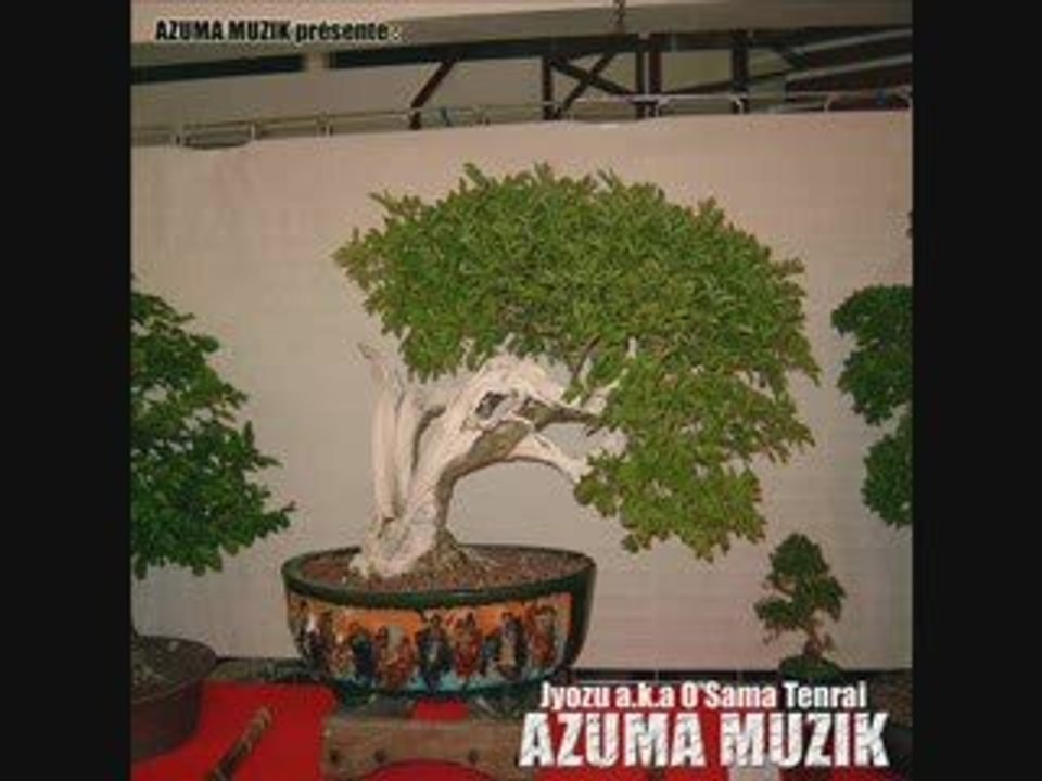 Underground Koto - Otis Groove