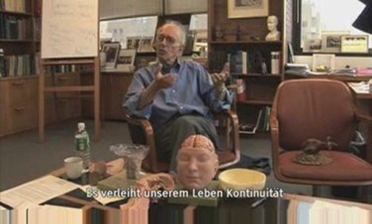 Auf der Suche nach dem Gedächtnis