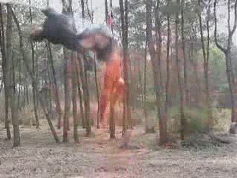 BLD25.avi.avi-0000.avi