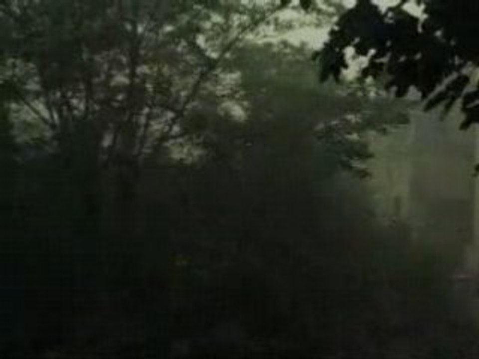 C:\clem\photos\sombre&humide.avi