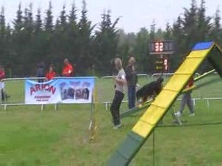 Camélia-Open Sorinières