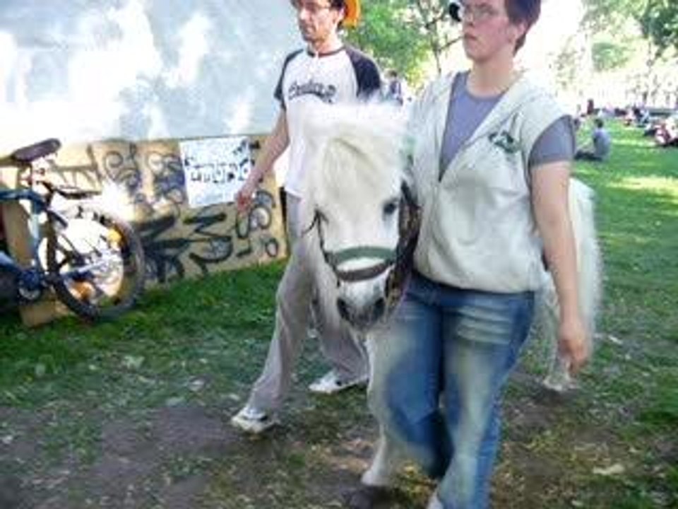 my horse is my best friend!! STREETART!!