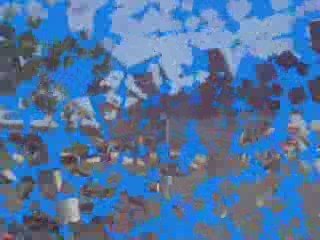 Saut en liberté du 23052009