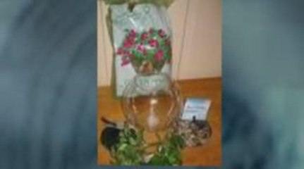 saltwater aquariums