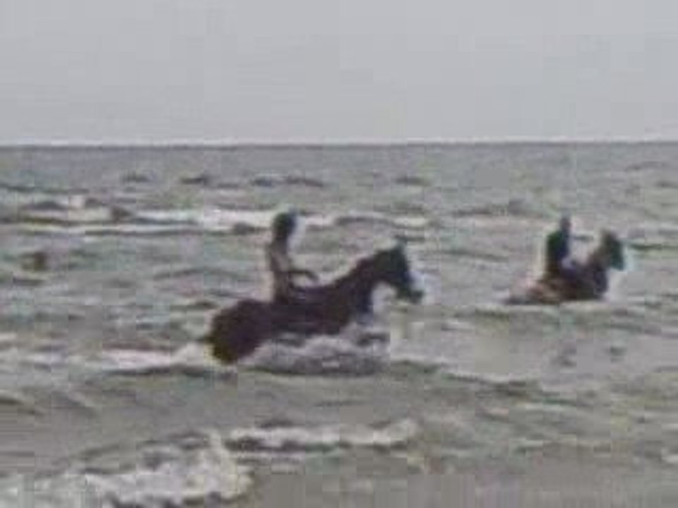 Baignade tous le monde