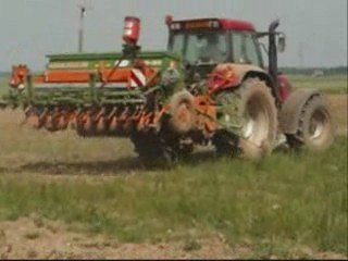 Semis de fetuque 2009