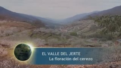 Valle del Jerte (Floración del cerezo)