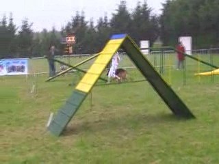 Bianka-open Sorinières