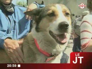 Haute-Savoie : Le tourisme équestre