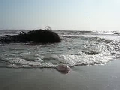 La Bernerie en Retz : mer