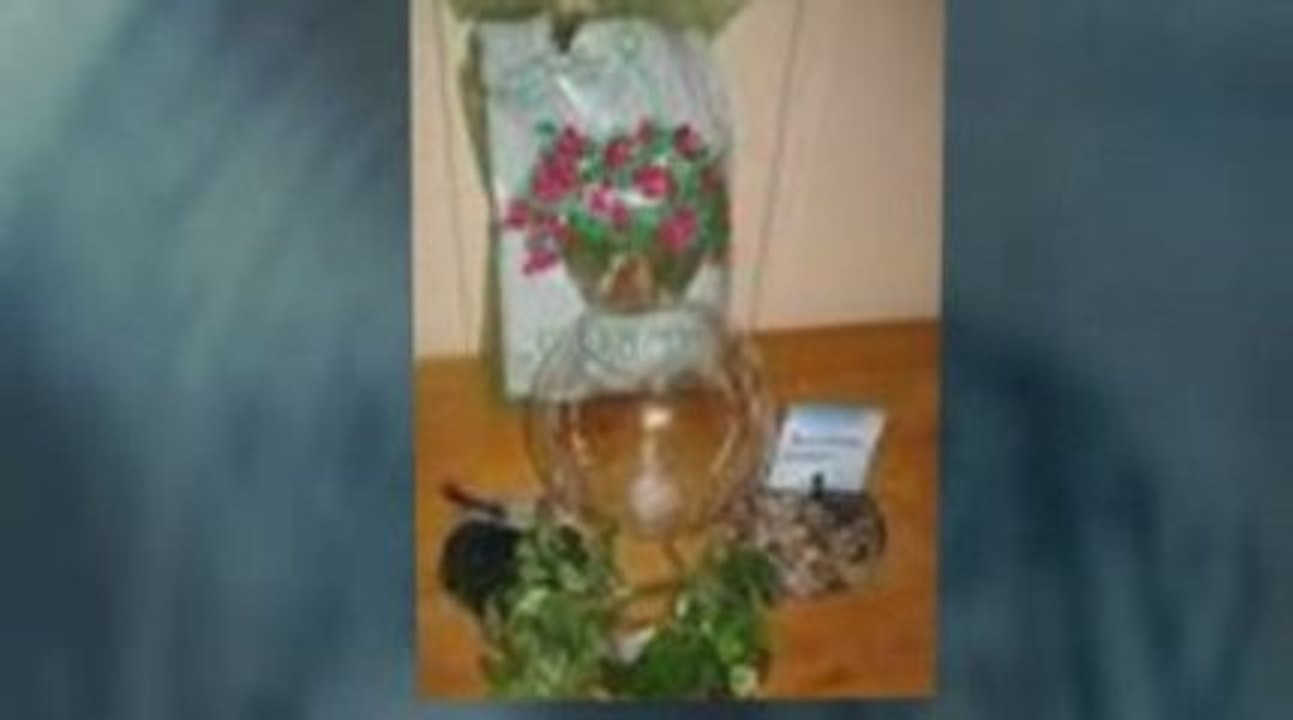 fish tank supplies