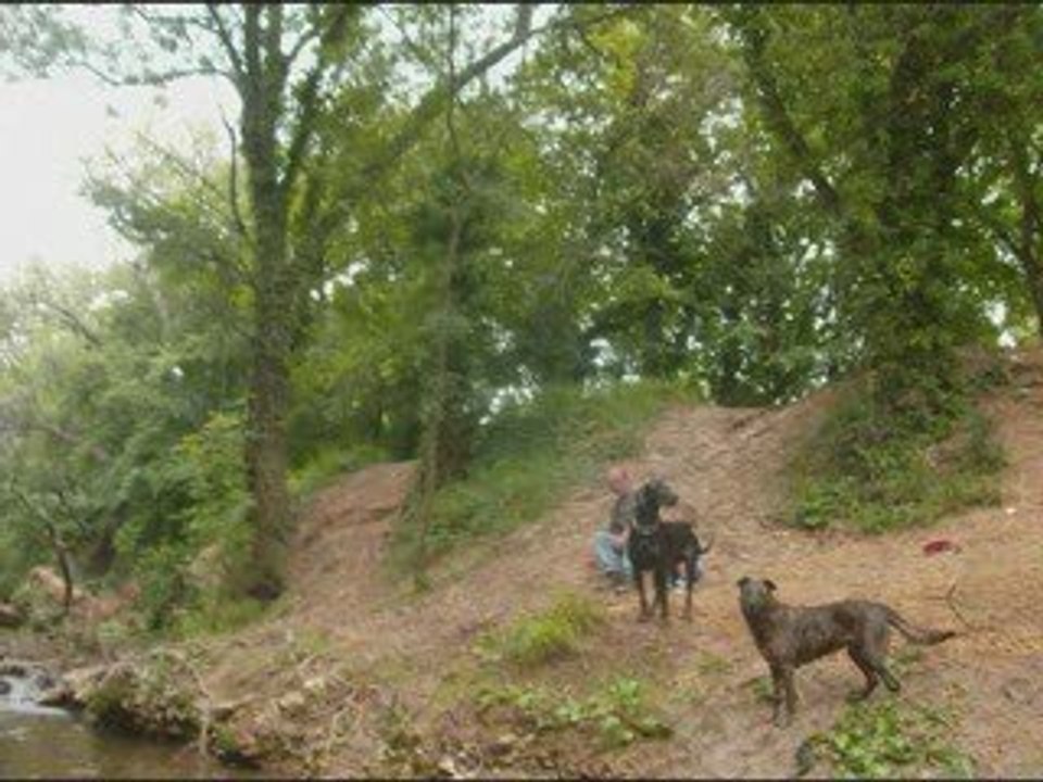 Bernadette et max