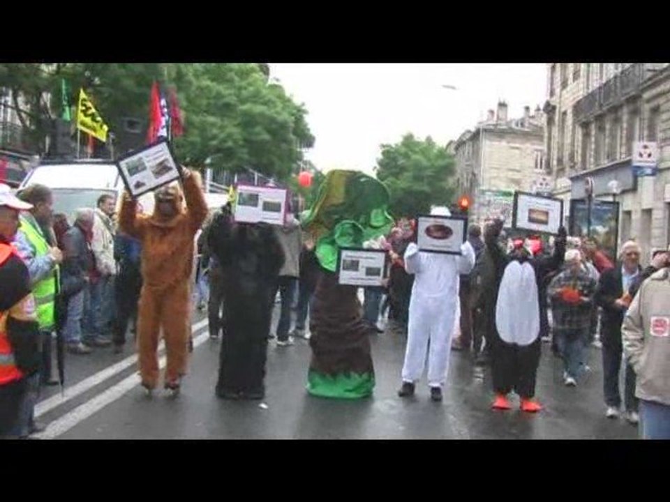 Les réscapés de la déforestation à Bordeaux