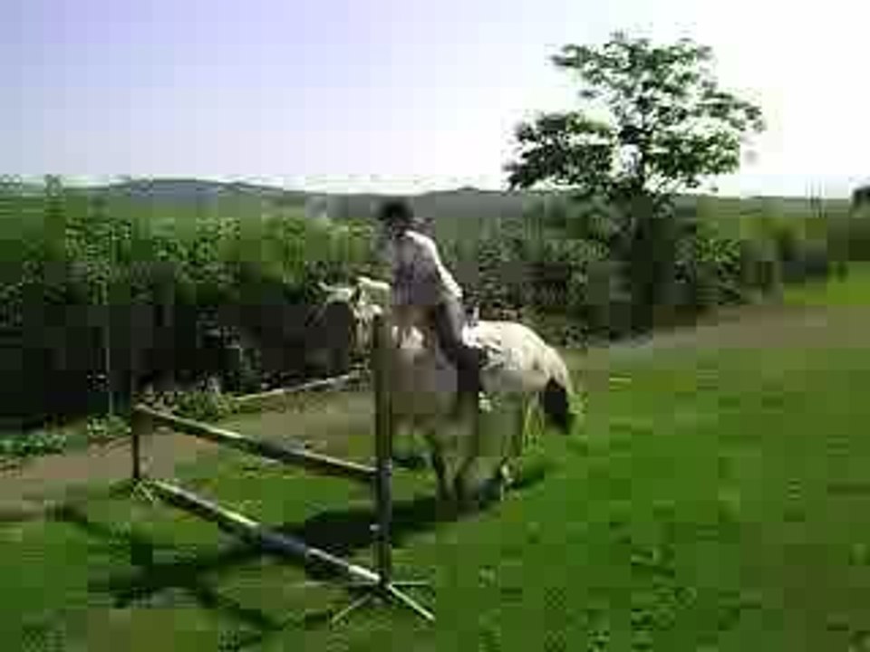 Mike en saut