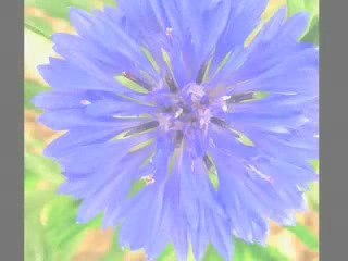 Harmonisation des chakras