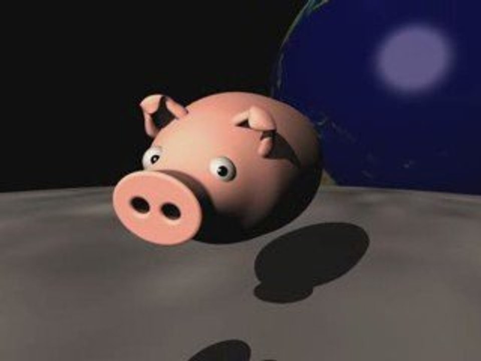 Cochon Espace
