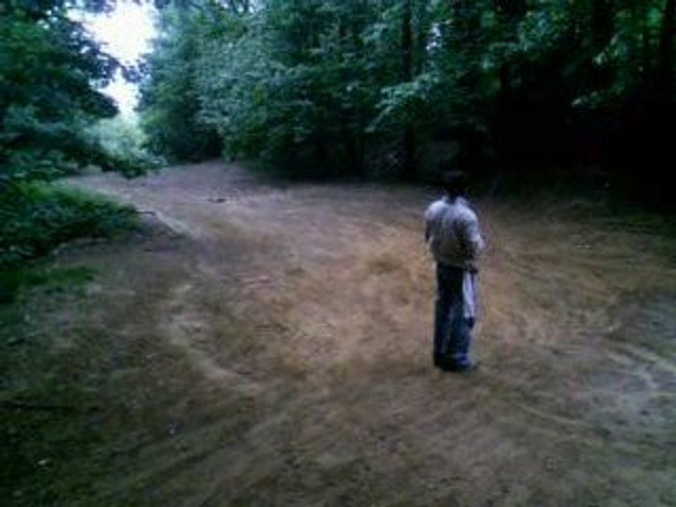 voiture thermique radiocamande  buggy