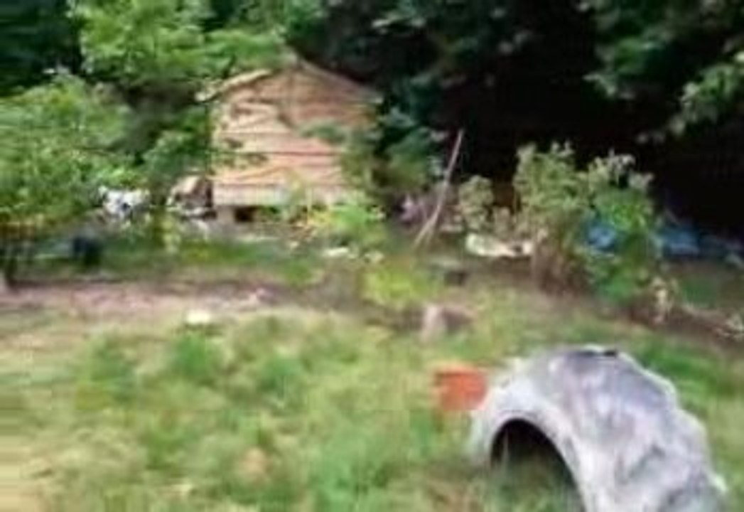 BELTANE joue dans le jardin