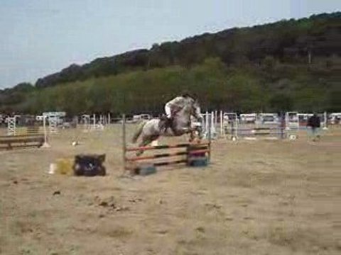 Concours au Ecuries de bors louvier avec Quality Boy