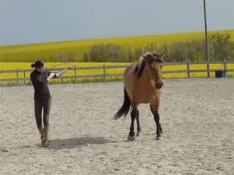 06.05.09 (16)_(converted)