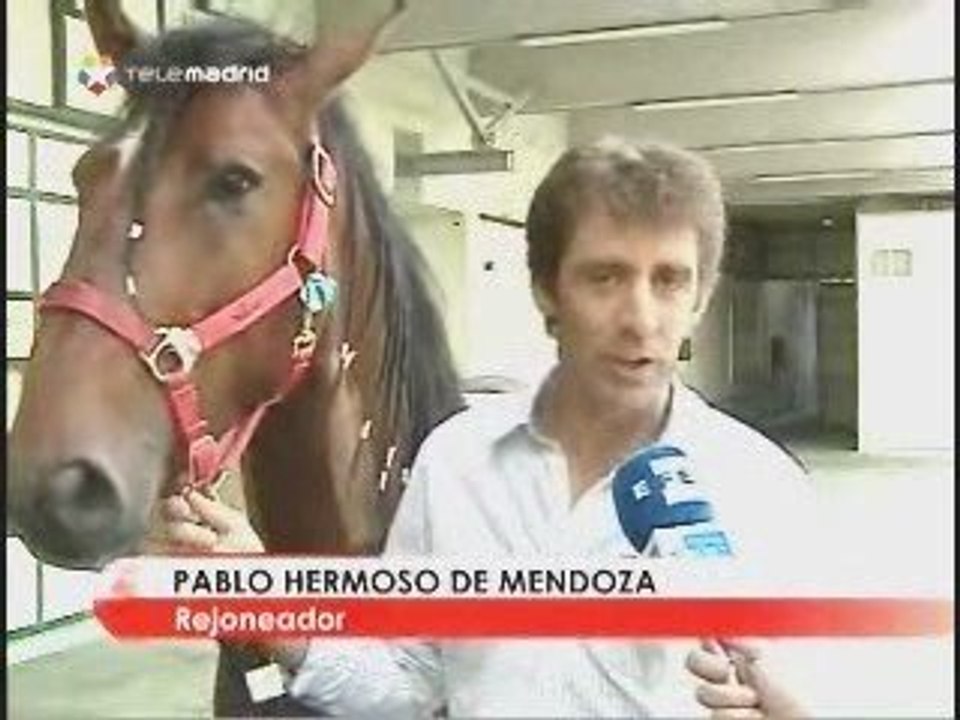 PATA NEGRA se recupera de la grave cornada
