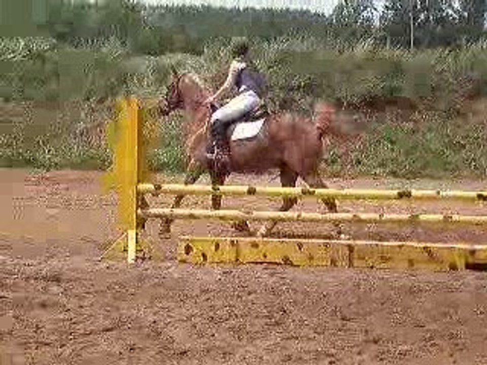 billy boy compete club bordeland