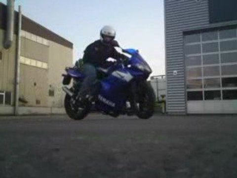 Yamaha TZR Antrozous