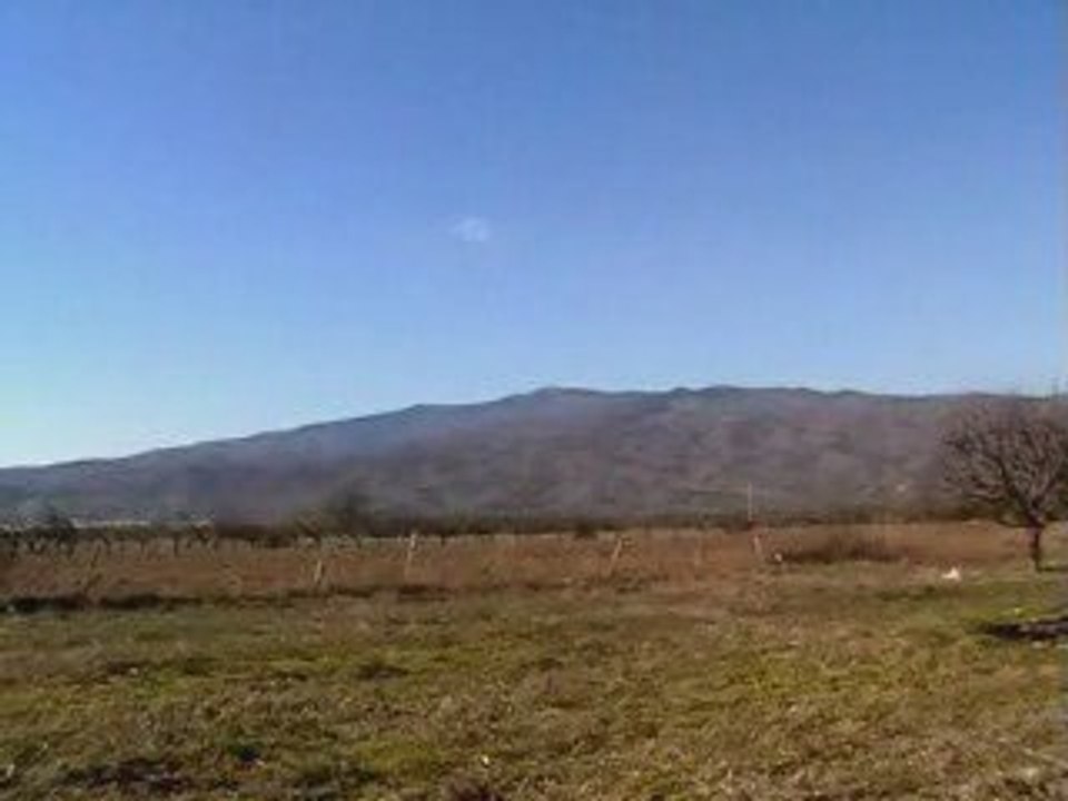 Ева Георгиева Янкин брат