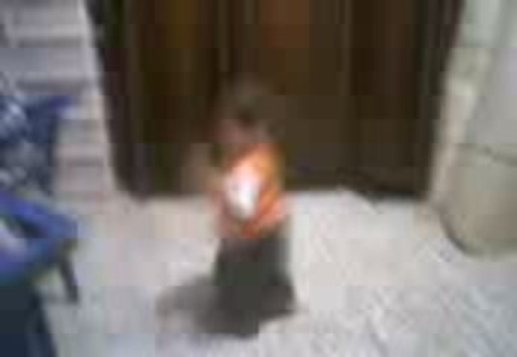 Video-0001