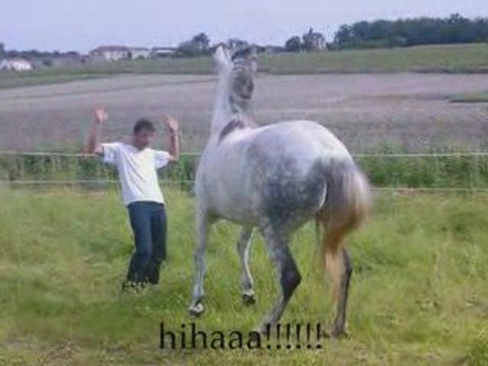 Charennnnte!!