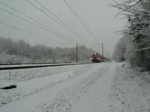 B5 Bourguignogne sous la neige à Franois