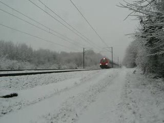 B5 Bourguignogne sous la neige à Franois