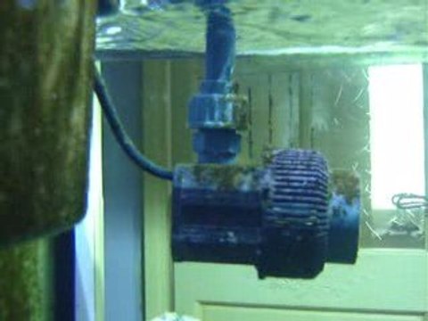 oscillateurs basse tension pour le brassage de mon récifal