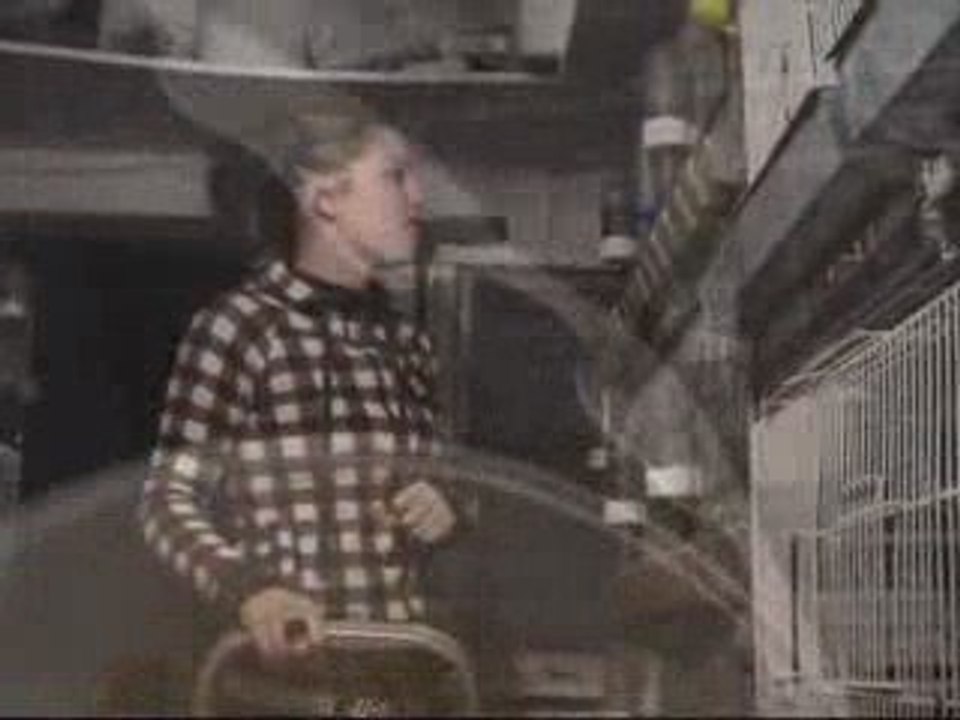 canto de pajaritos