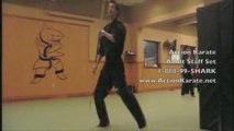 Action Karate Feasterville Adult Staff Kata